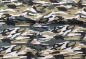 Preview: Baumwollstoff Camouflage